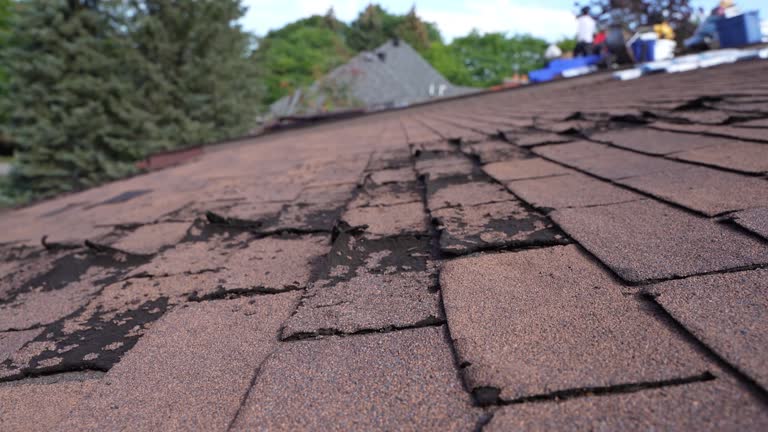 Best Steel Roofing  in Jeffersonville, IN