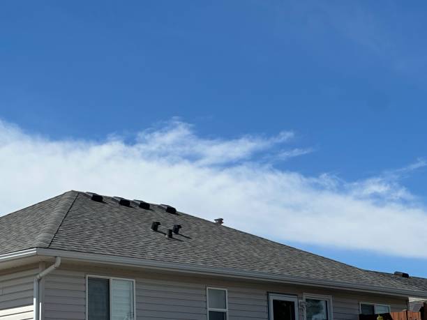 Best Chimney Flashing Repair  in Jeffersonville, IN